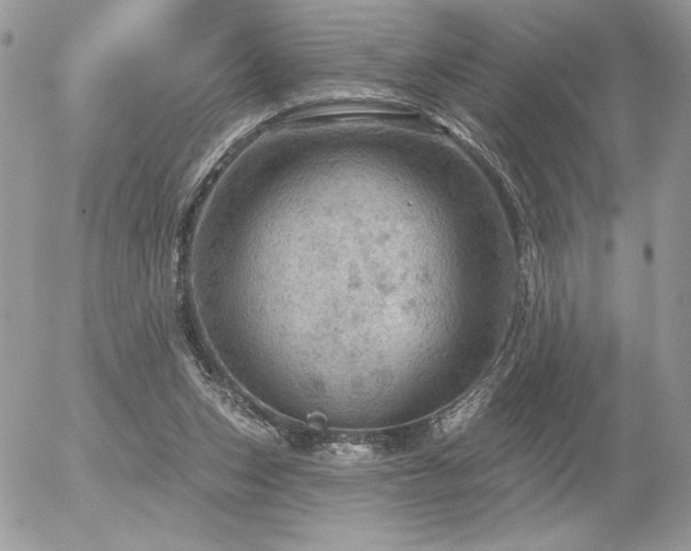 X0000056330159200508261229