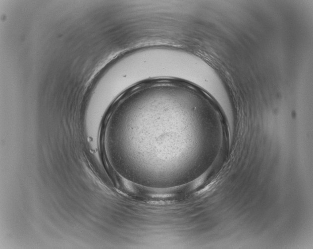 X0000056330160200508261229