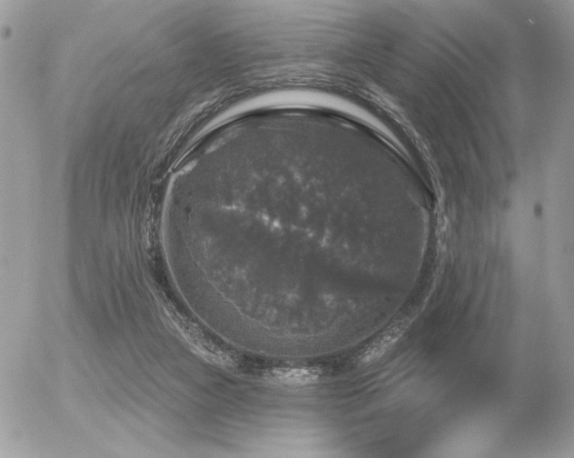 X0000056330161200508261229