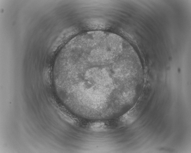 X0000056330162200508261229