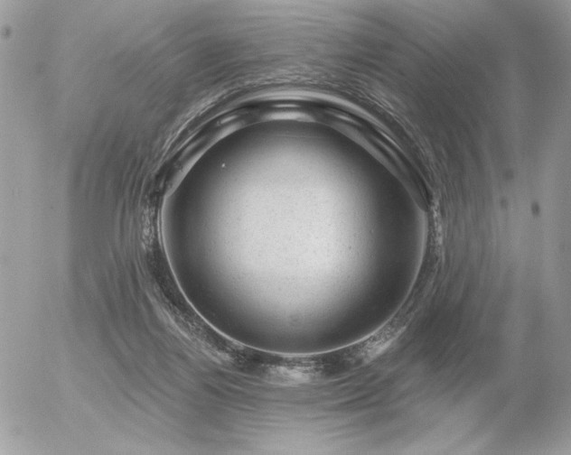 X0000056330164200508261229