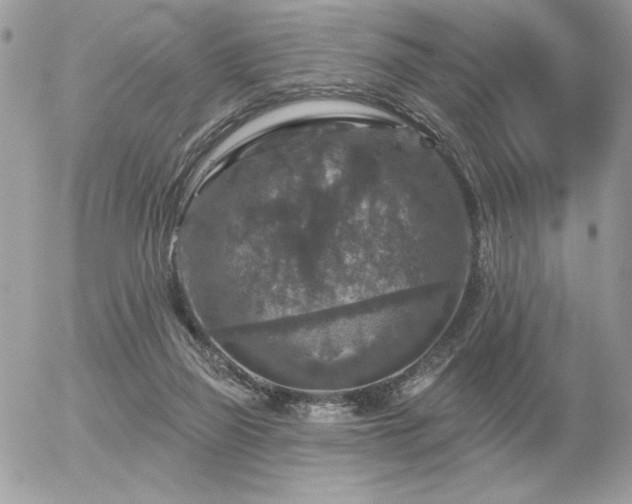 X0000056330165200508261229