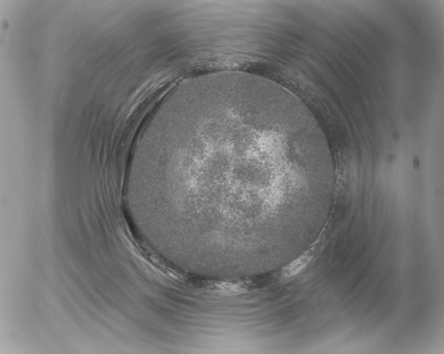 X0000056330166200508261230