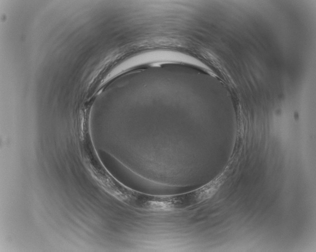 X0000056330167200508261230