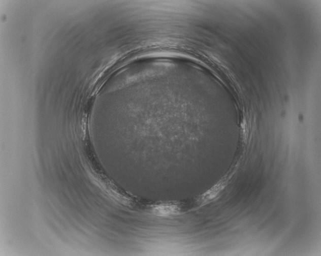 X0000056330168200508261230