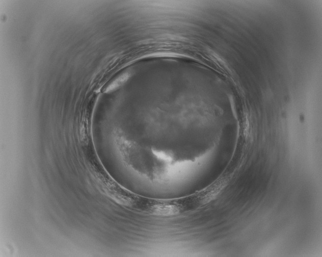 X0000056330169200508261230