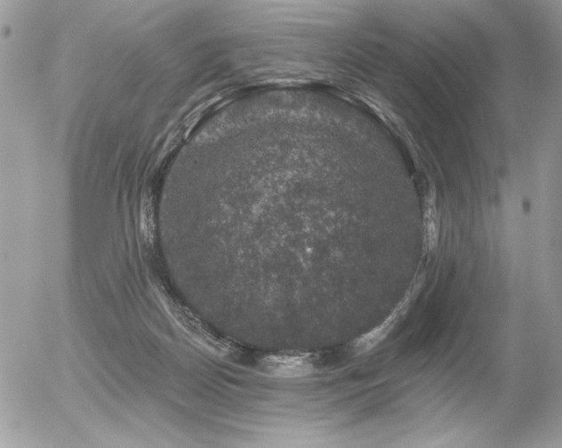 X0000056330170200508261230