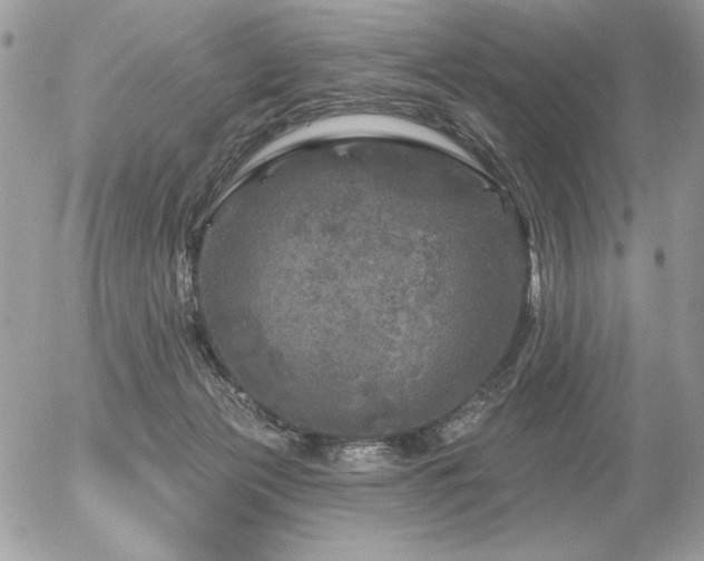 X0000056330173200508261230