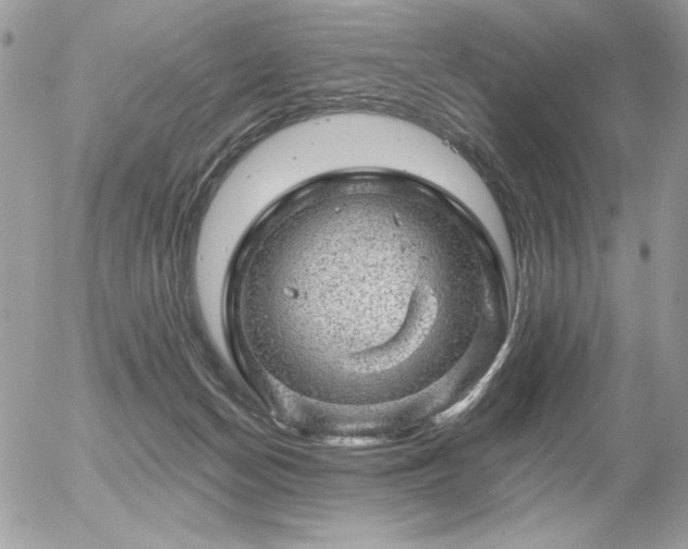 X0000056330174200508261230