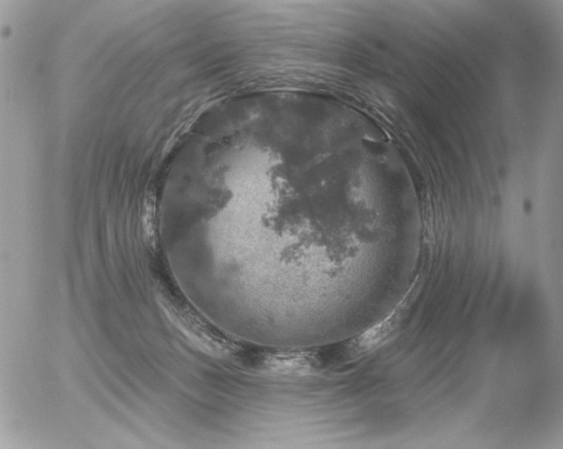 X0000056330175200508261230