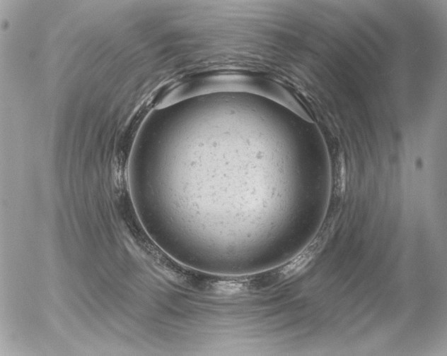 X0000056330176200508261230