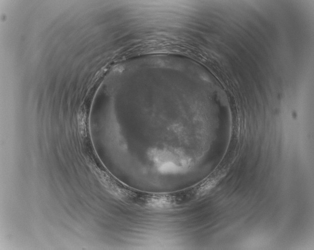 X0000056330177200508261230