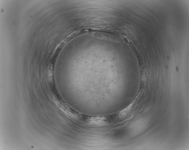 X0000056330179200508261230