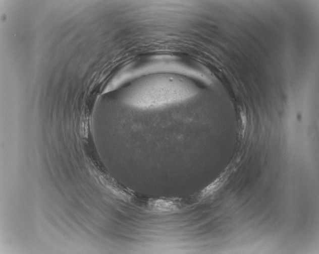 X0000056330180200508261230