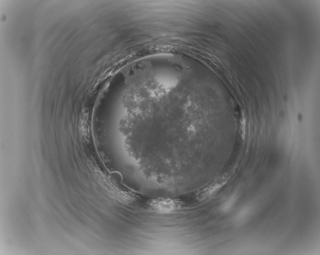 X0000056330181200508261230