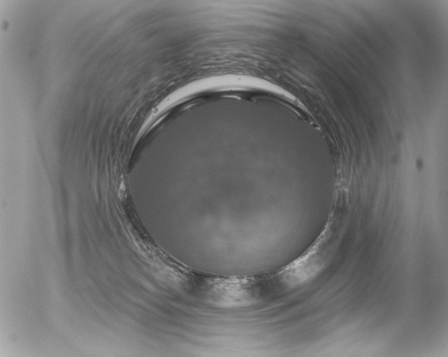 X0000056330182200508261230