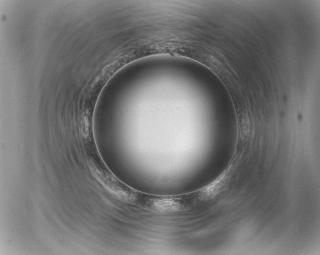 X0000056330183200508261230