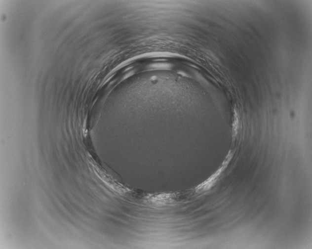 X0000056330186200508261230