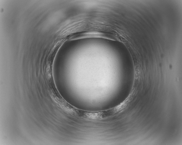 X0000056330187200508261230