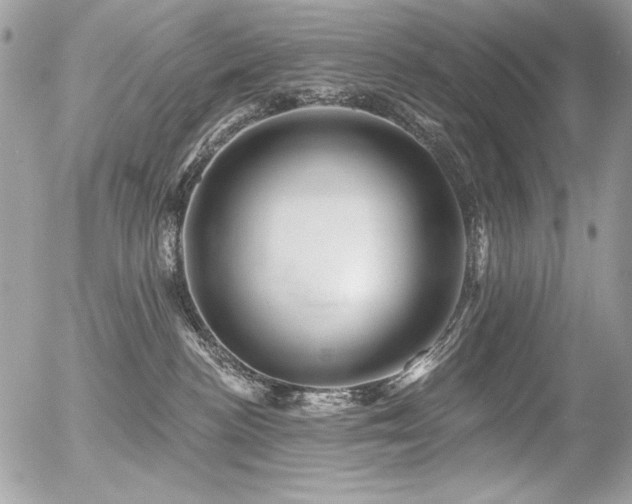 X0000056330188200508261230