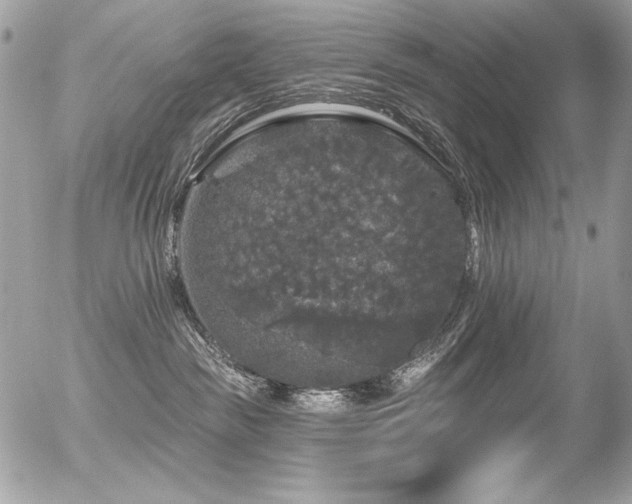 X0000056330189200508261230