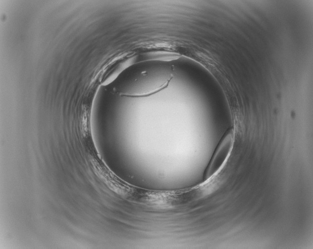 X0000056330190200508261230