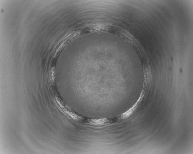 X0000056330191200508261230