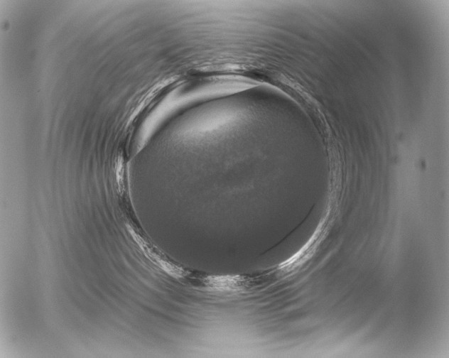 X0000056330192200508261230