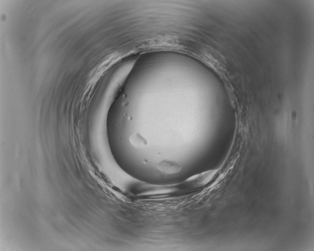 X0000056330193200508261229