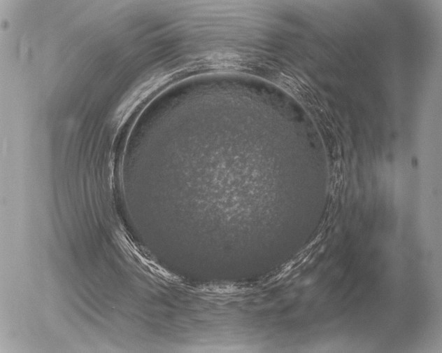 X0000056330194200508261229