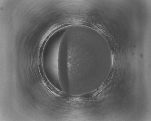 X0000056330195200508261229