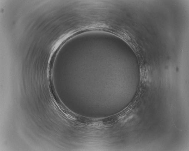 X0000056330196200508261229