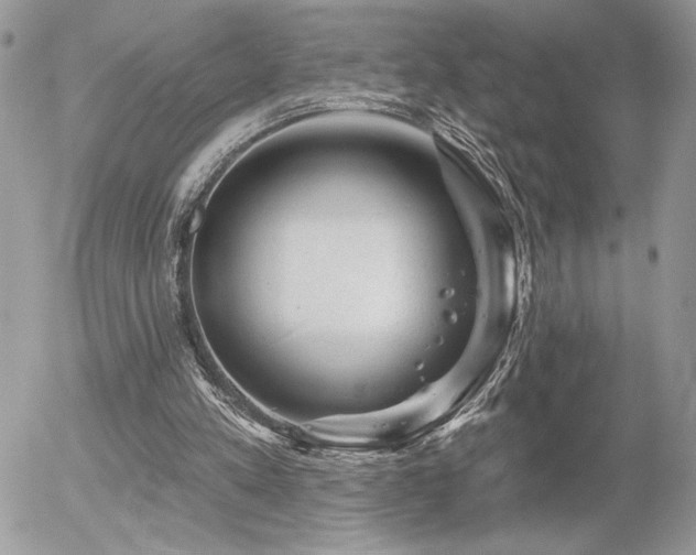 X0000056330197200508261229