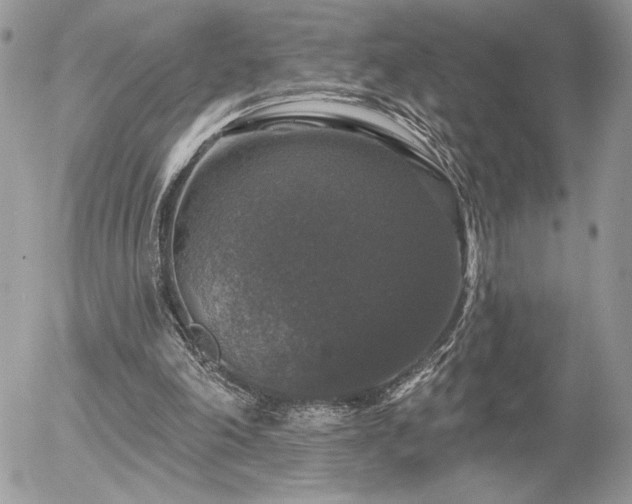 X0000056330198200508261229