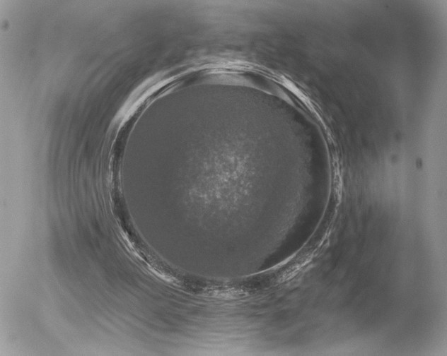 X0000056330199200508261229