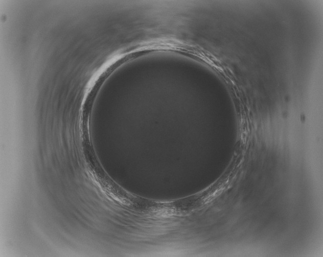 X0000056330200200508261229