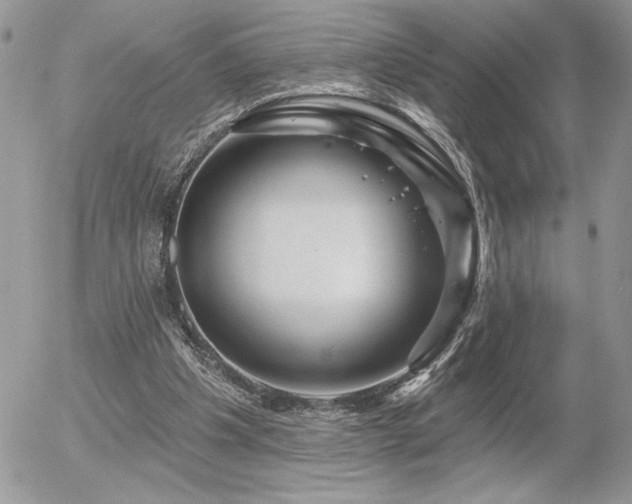 X0000056330201200508261229