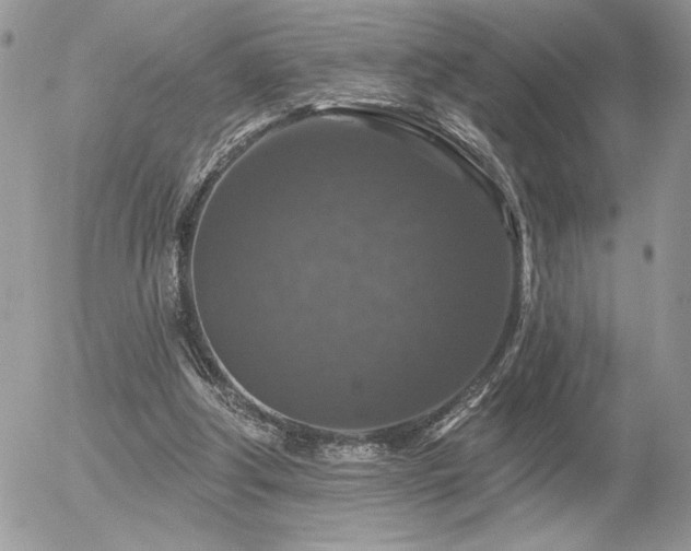 X0000056330202200508261229