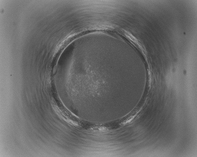 X0000056330203200508261229