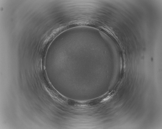 X0000056330205200508261229