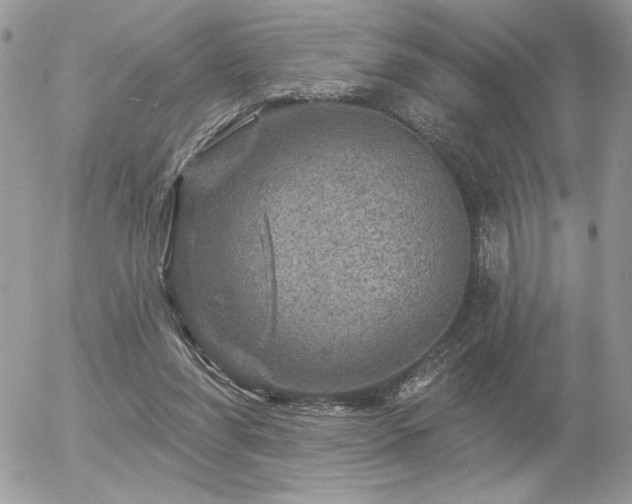 X0000056330206200508261229