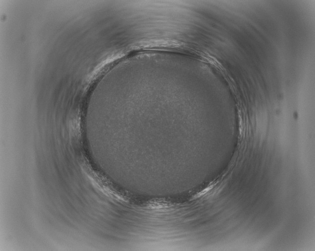 X0000056330207200508261229