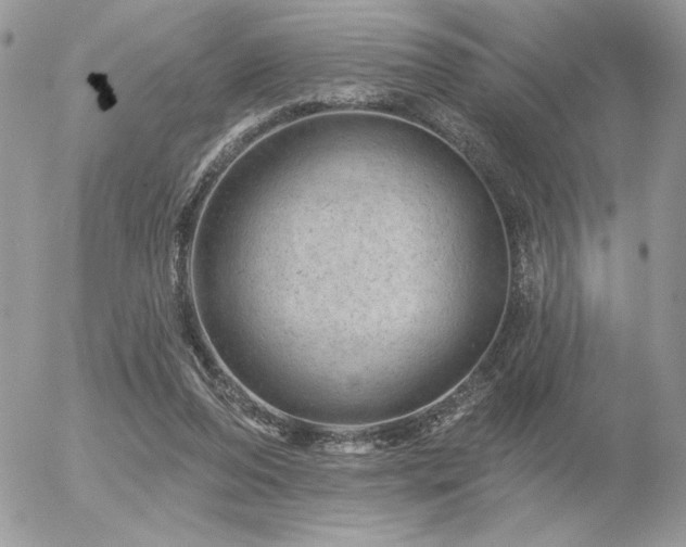 X0000056330208200508261229