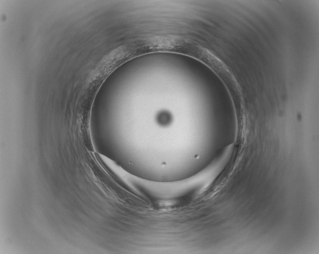 X0000056330209200508261229