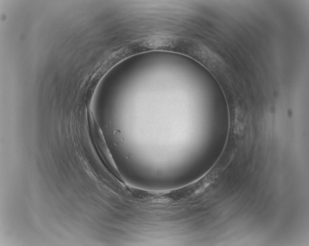 X0000056330210200508261229