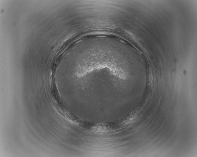 X0000056330211200508261229