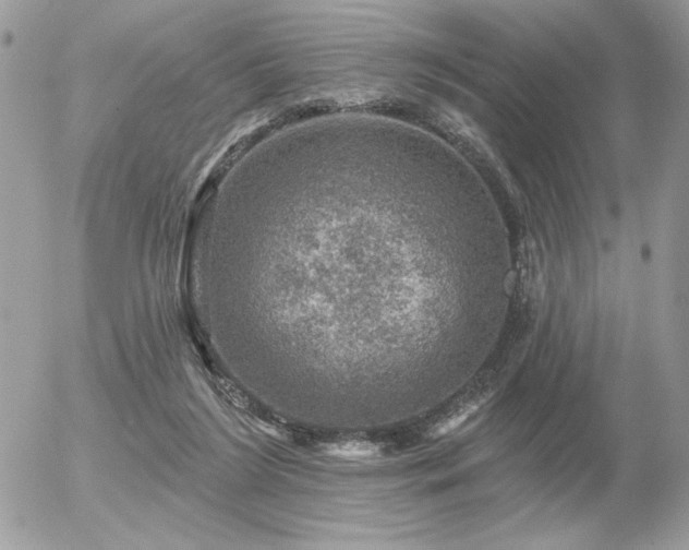 X0000056330212200508261229