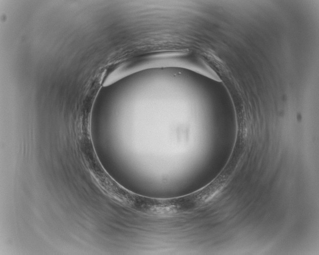 X0000056330213200508261229