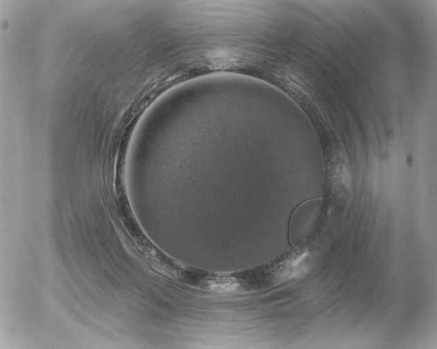 X0000056330214200508261229