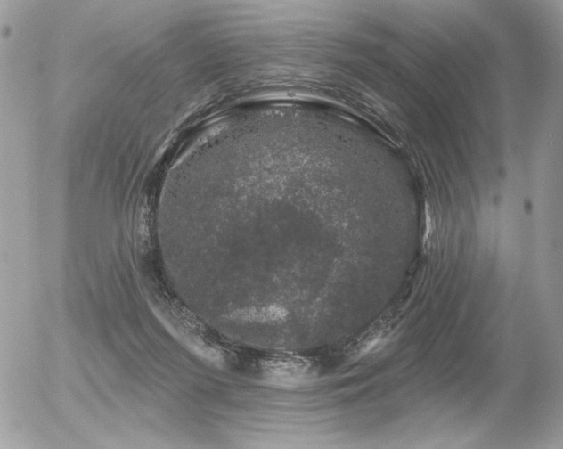 X0000056330215200508261229